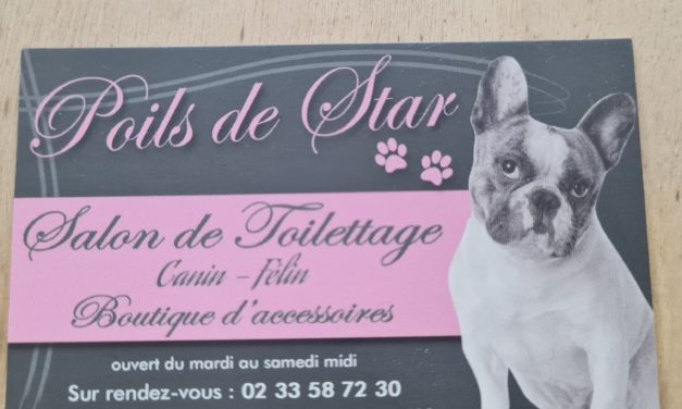 Poils de Star votre salon de toilettage à Sartilly. Pour chiens, Chats et Nac. Salon équipé et spécialisé dans les grandes races.