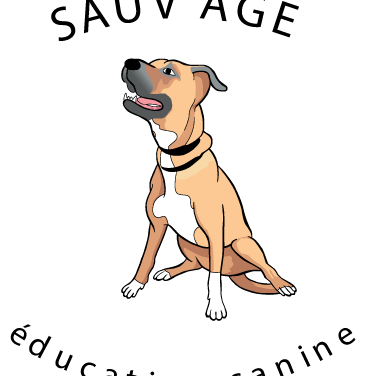 Sauv’age éducation canine à Luitré (Fougères). Votre Éducatrice canin bienveillante, Rééducation chiens agressifs / craintifs et Forfait chiot dès 2 mois.