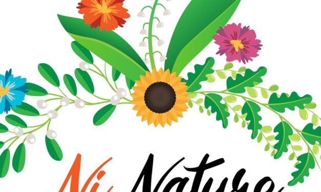 NINATURE VOTRE FLEURISTE À ISIGNY LE BUAT (ENTRE AVRANCHES ET ST HILAIRE DU HARCOUËT). DÉCOUVREZ TOUTES NOS IDÉES CADEAUX, NOS NOUVEAUTÉS, NOTRE SERVICE DE LIVRAISONS GRATUIT* ET NOS HORAIRES ICI ! Nouvelle adresse !