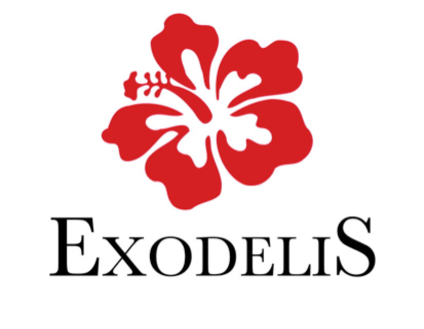 Exodelis votre Épicerie / Traiteur Exotique, plats africains, produits alimentaires africain / asiatique / antillais, artisanat africain, tissu wax, et bijoux à Donville (Granville 50 Manche).