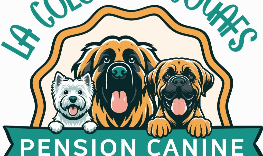 Virginie est heureuse de vous présenter « La Colo des Wouafs », pension canine dite « en meute » à Juvigné (53 Mayenne).