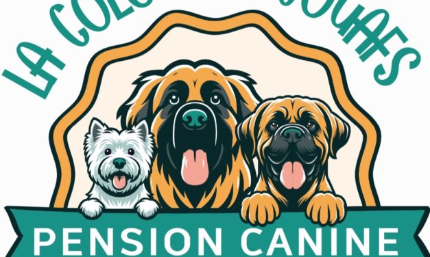 Virginie est heureuse de vous présenter « La Colo des Wouafs », pension canine dite « en meute » à Juvigné (53 Mayenne).