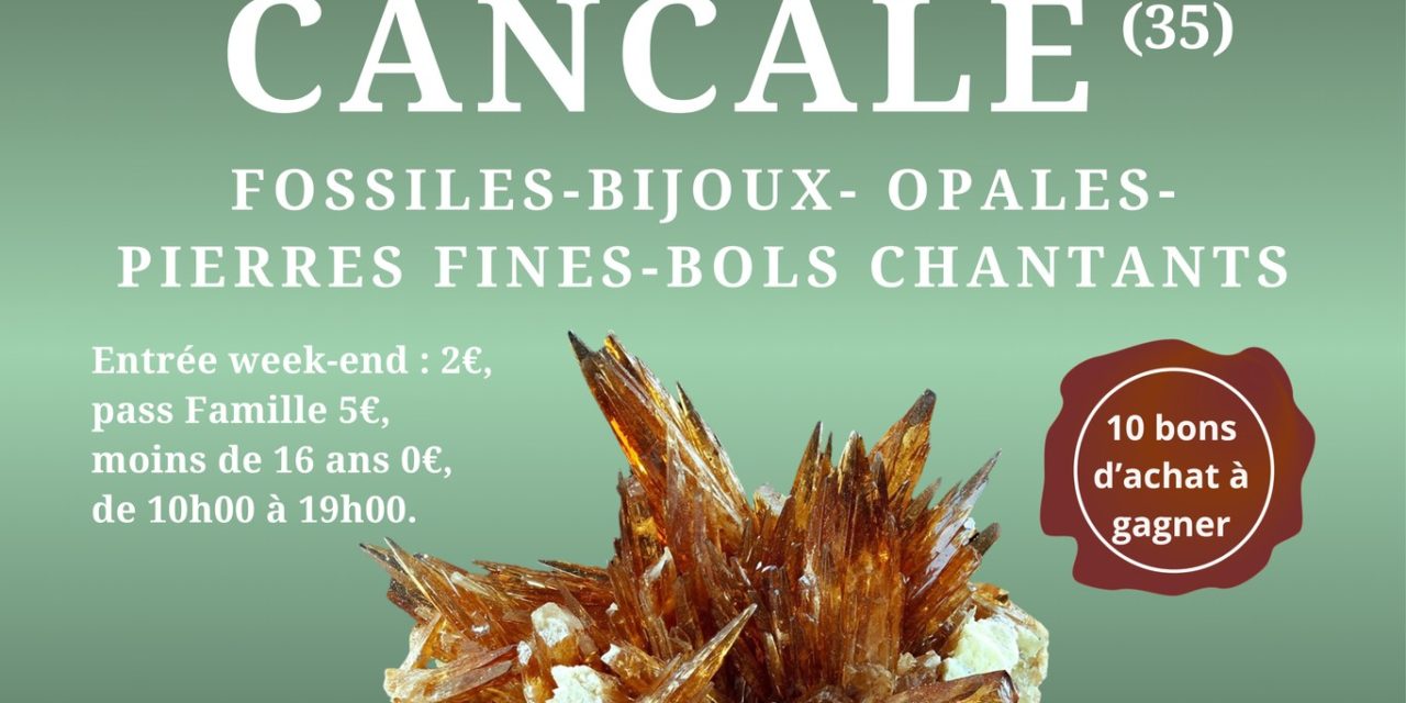 CANCALE 1ère édition du salon vente de minéraux, fossiles & bijoux ! Les 7 et 8 juin 2025, Salle Cancaven Rue Arnstein 35260 Cancale.