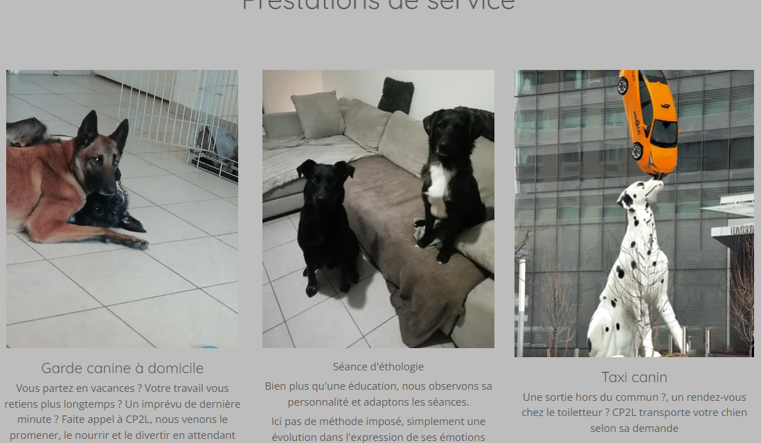 Découvrez Compagnie Patte Deux Loups CP2L à Gorron (53 Mayenne). Une boutique pour les chiens (décorations,  déplacement, vacance et soins mental). Des Services, garde canine à domicile, séance d’éthologie et taxi canin.