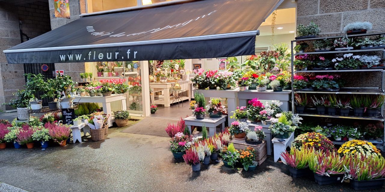 Carte à Muse à Fougères (35 Ille et Vilaine). Votre artisan fleuriste, compositions, fleurs, plantes, décorations et pleins d’idées cadeaux.