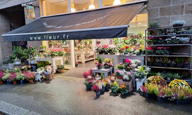 Carte à Muse à Fougères (35 Ille et Vilaine). Votre artisan fleuriste, compositions, fleurs, plantes, décorations et pleins d’idées cadeaux.